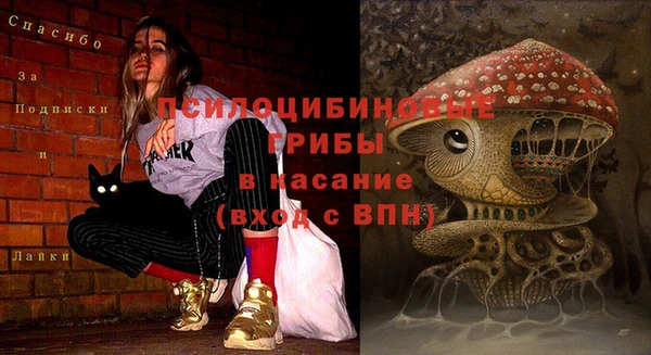 амф Абинск