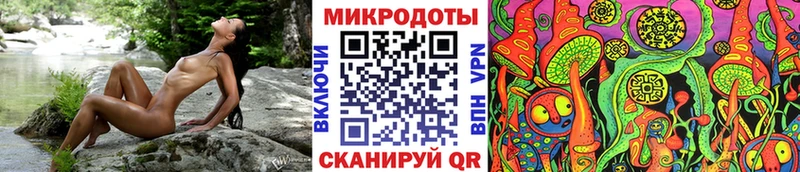 Псилоцибиновые грибы мухоморы площадка клад Питкяранта МЕГА ТОР